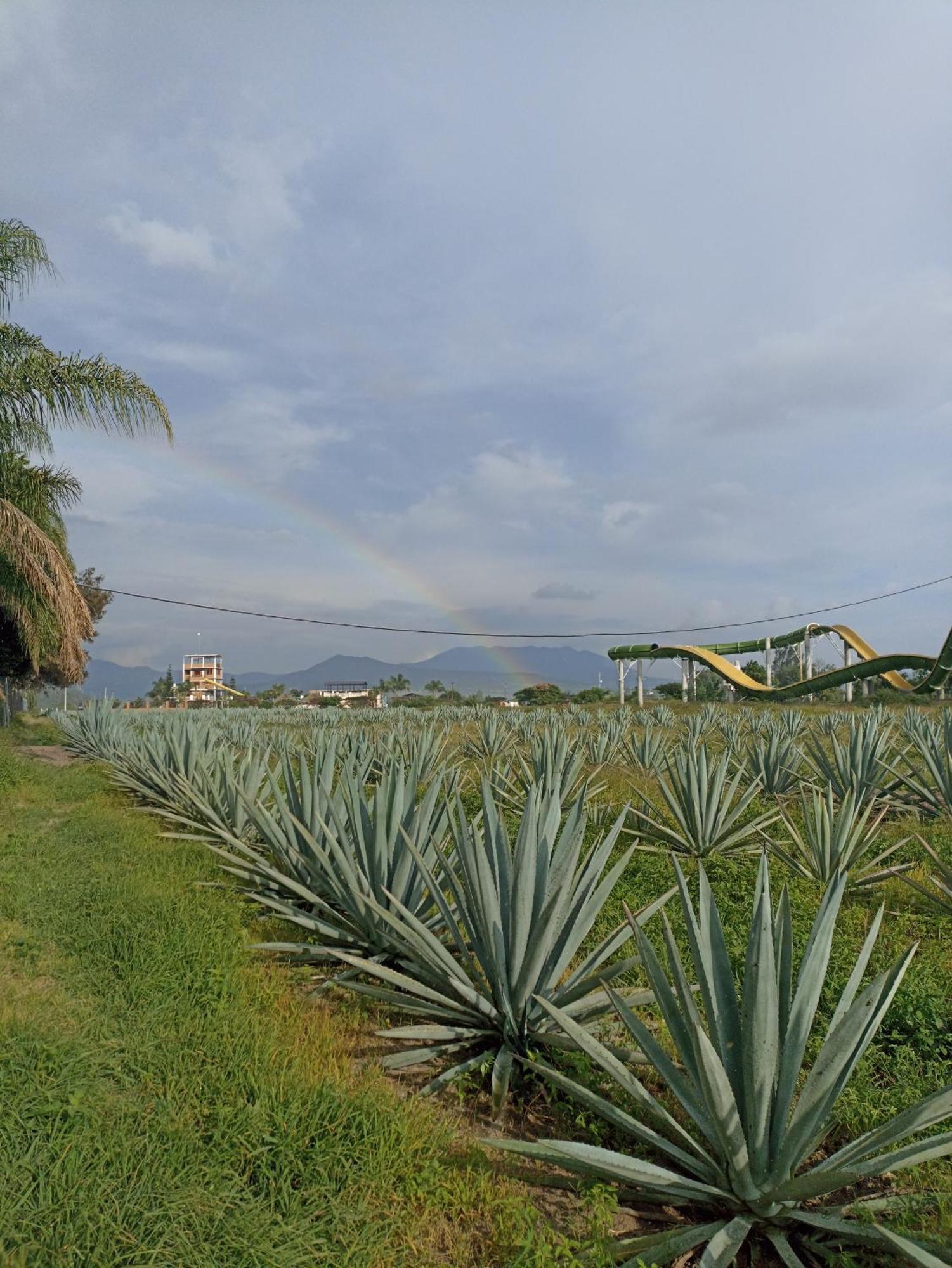 Don Pedrillo Hotel Oaxaca Eksteriør billede